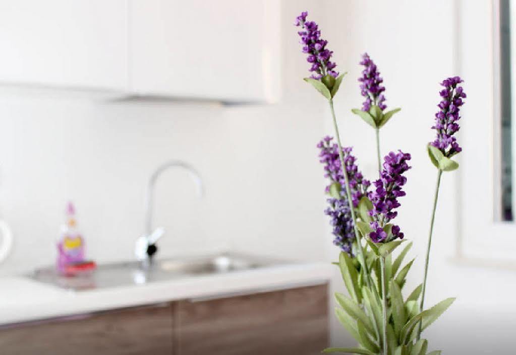 Apartment Lavanda Split Bagian luar foto