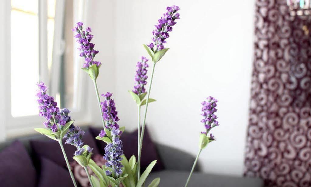 Apartment Lavanda Split Bagian luar foto